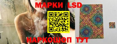 стафф Новозыбков