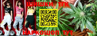 стафф Новозыбков