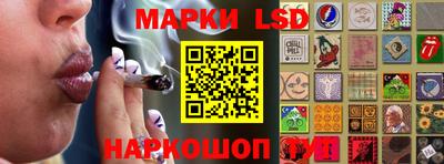 стафф Новозыбков