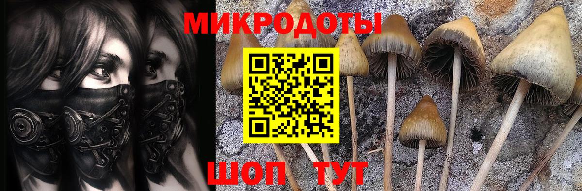 Псилоцибиновые грибы ЛСД Нижний Новгород
